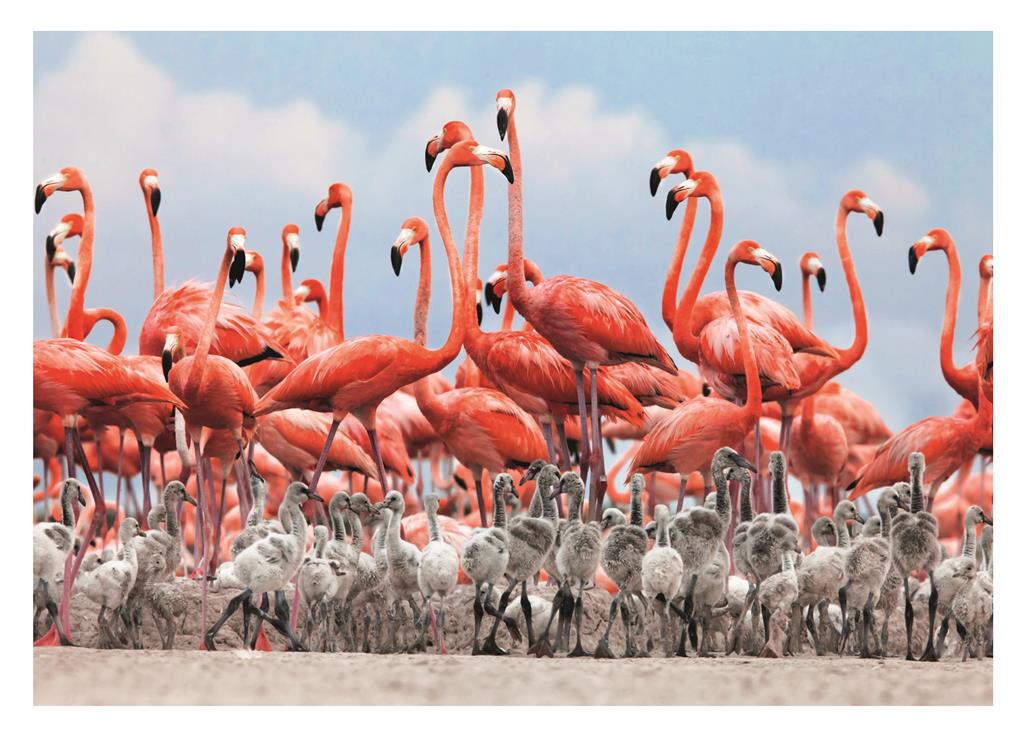 Dino Puzzle 500 pc Flamingos 50250D