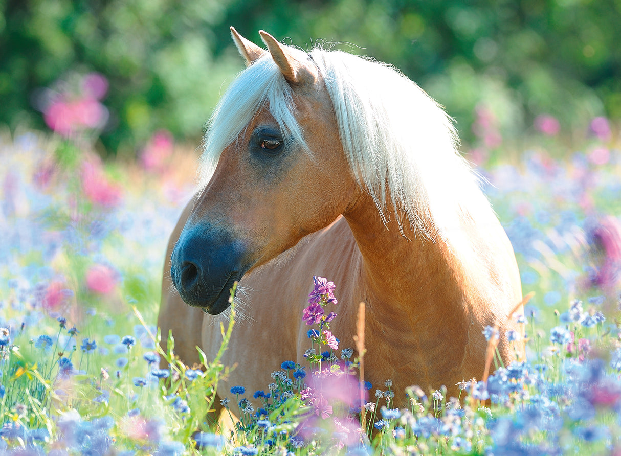 Ravensburger Puzzle 300 pc Horse in Flowers 132942V