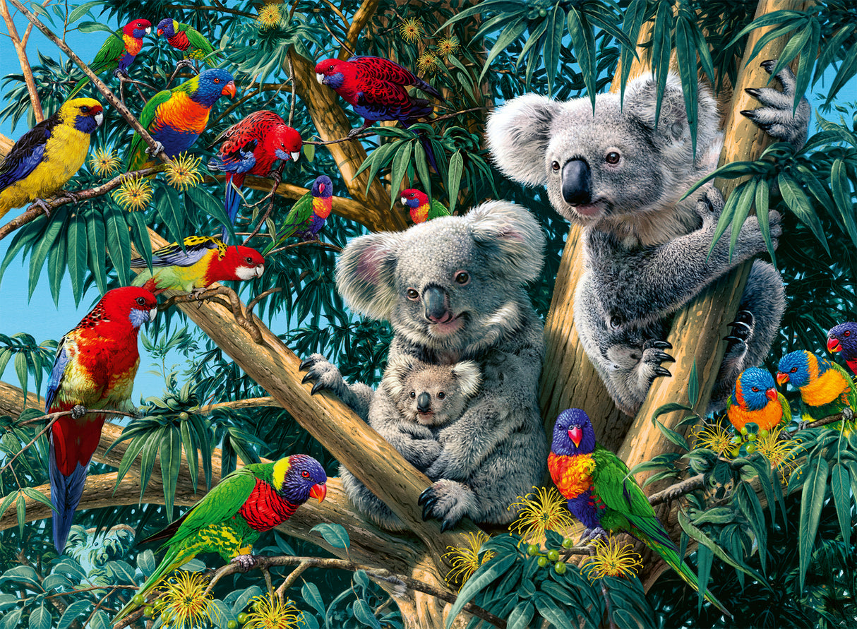 Ravensburger Puzzle 500 pc Koalas on a Tree 12000206V