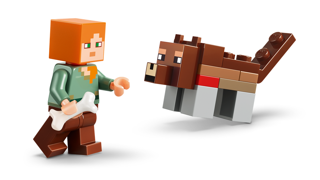 LEGO Minecraft First Night Adventure 21593L