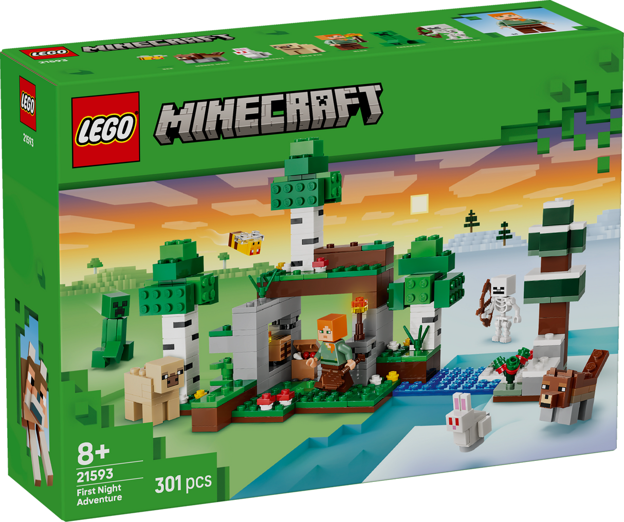 LEGO Minecraft First Night Adventure 21593L