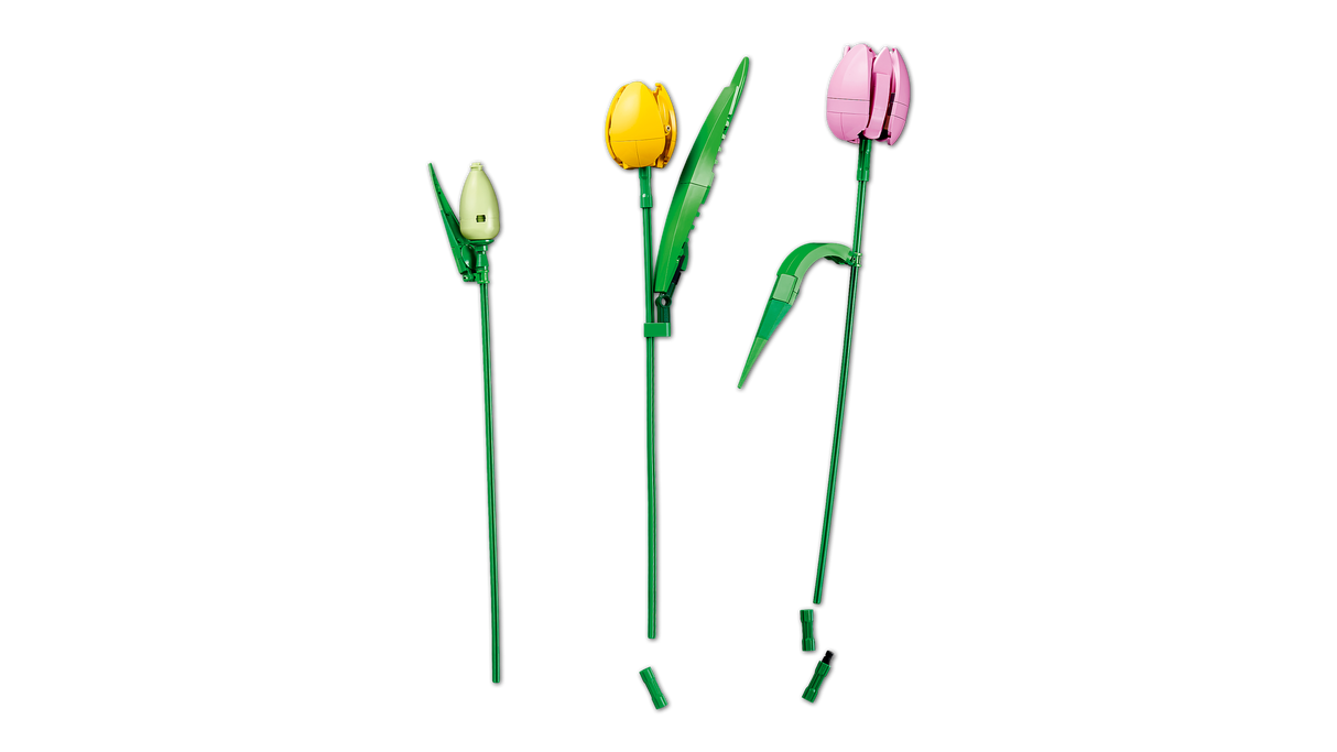 LEGO Botanicals Tulip Bouquet 11501L
