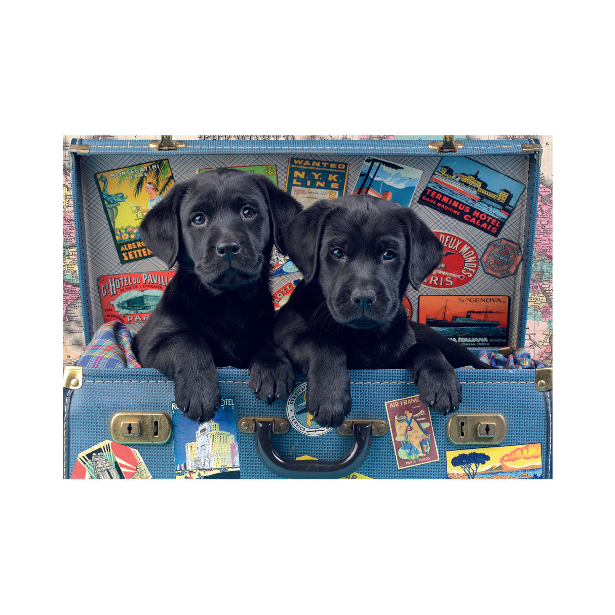 Dino puzzle 500 Pc Puppies in a Suitcase 50258D