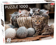 Tactic puzzle 1000 pc Cute Kittens 56803T