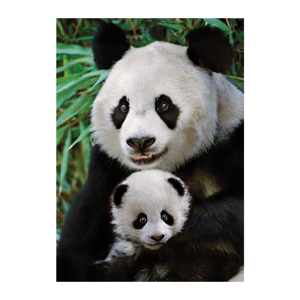 Dino Puzzle 1000 pc Panda with baby 53256D