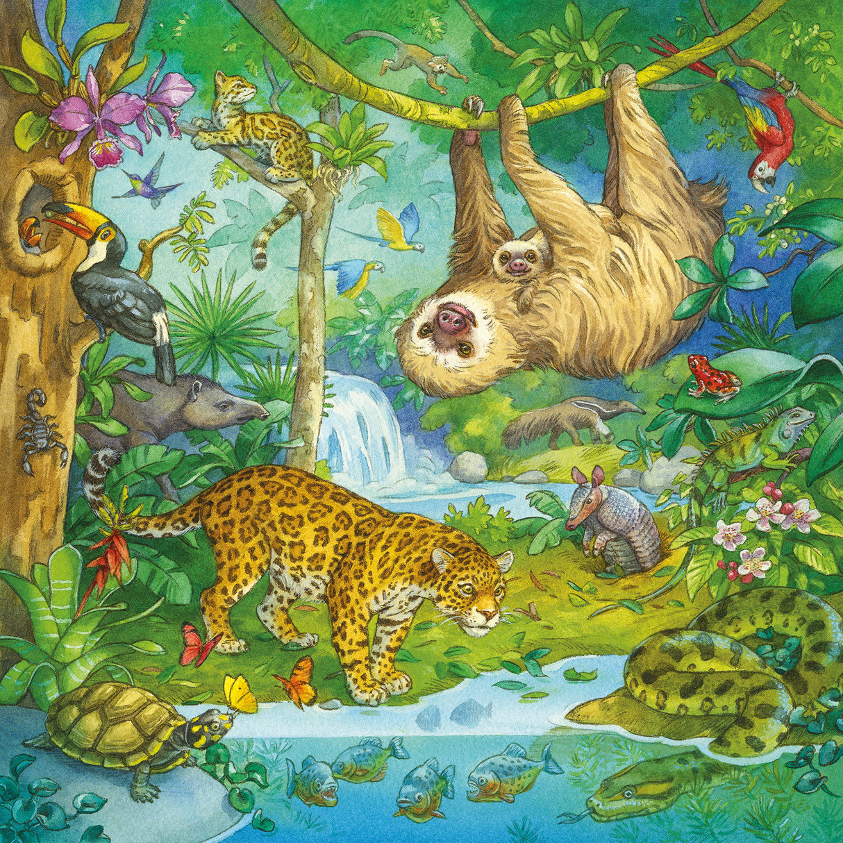 Ravensburger Puzzle 3x49 pc Jungle Fun 051809V