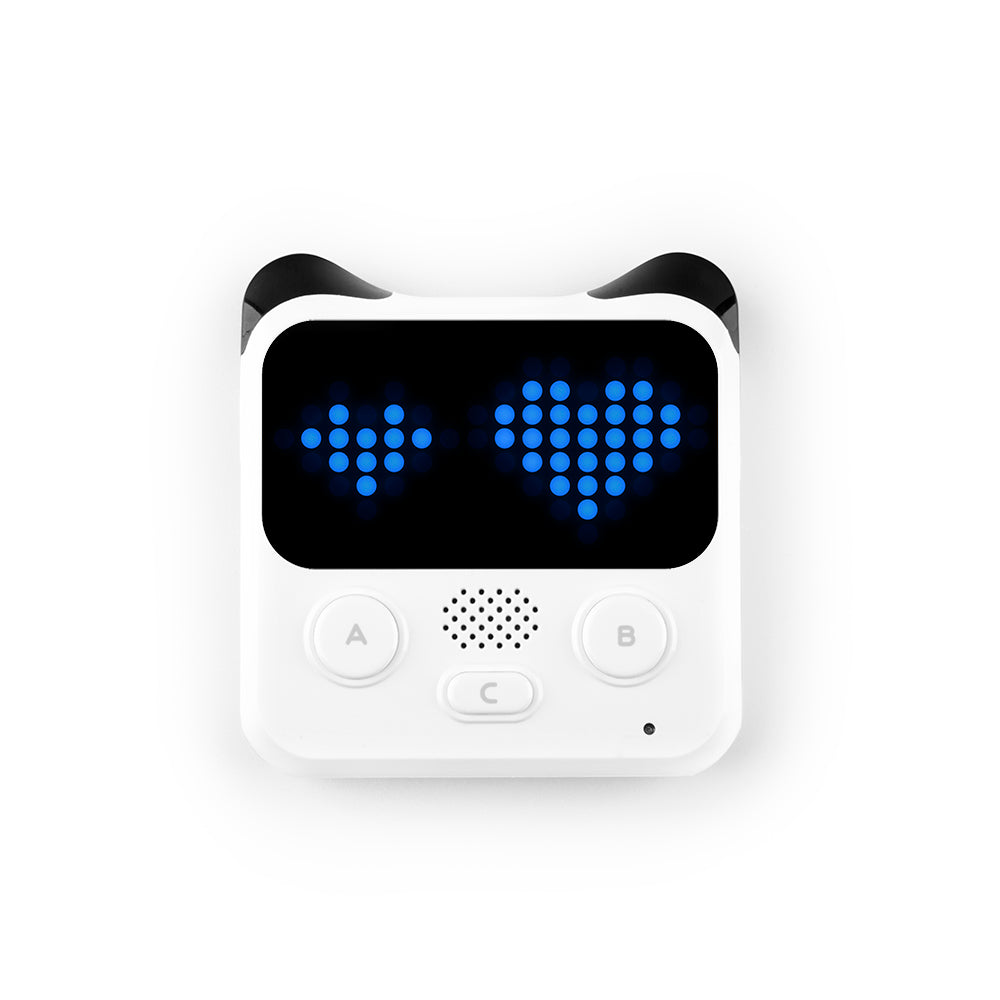 Codey Rocky Robot  P1030069