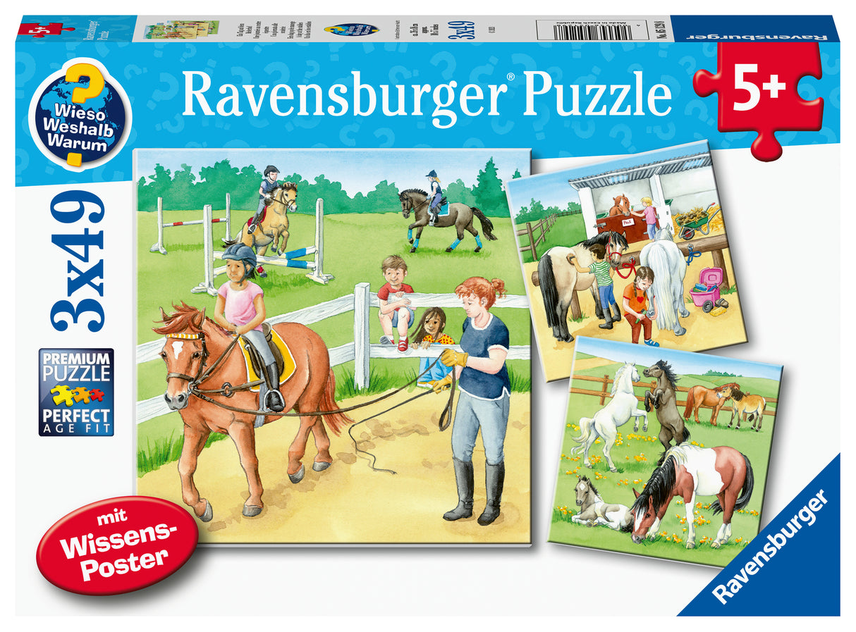 Ravensburger Puzzle 3x49 pc Horses 051298V