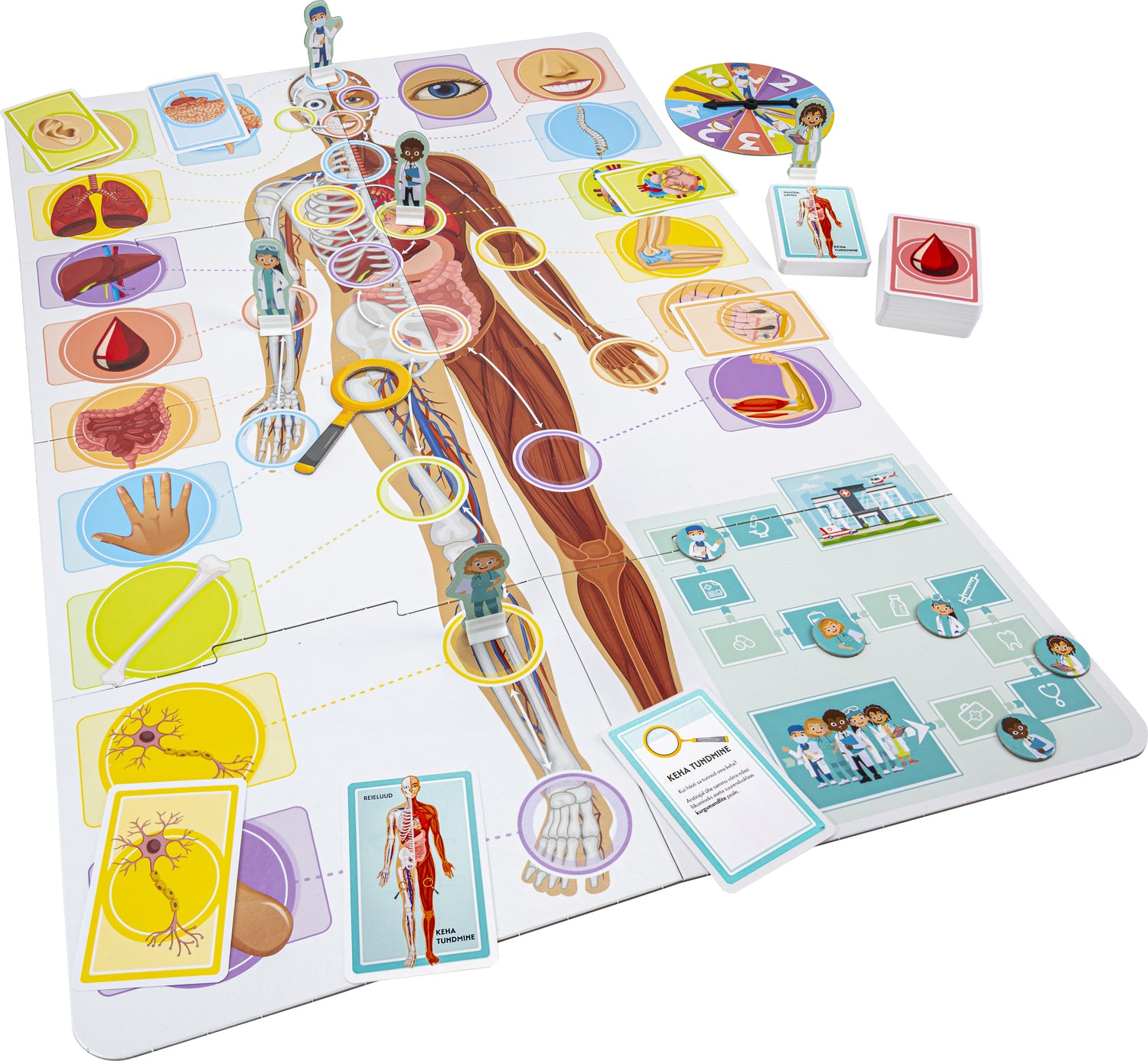 Tactic lauamäng Õpime tundma oma imelist keha 60865T