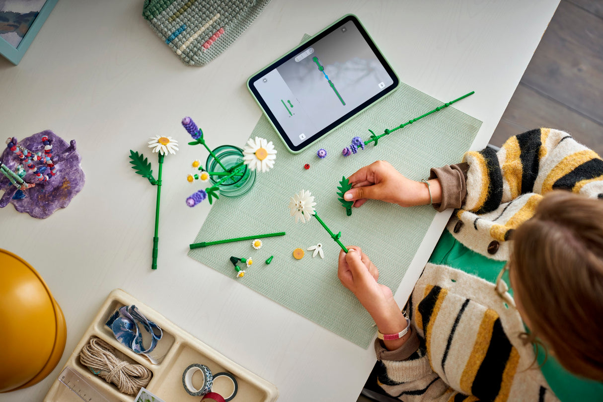 LEGO Botanicals Daisies 11508L