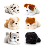 Keel Toys Signature Cuddle Puppies 25 cm - 6 Different SD2429K