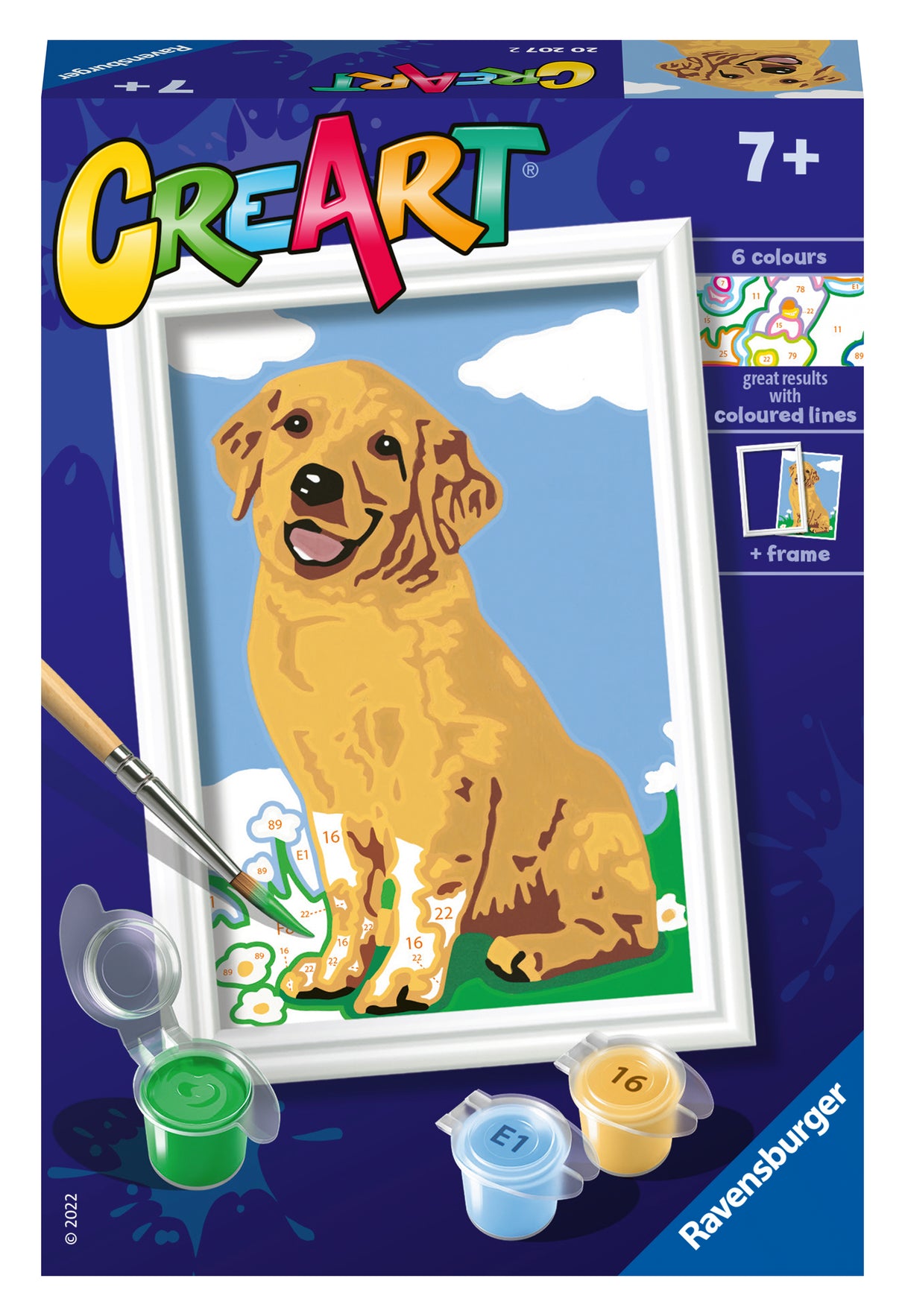 Ravensburger Paint by Numbers Friendly Retriever 202072V