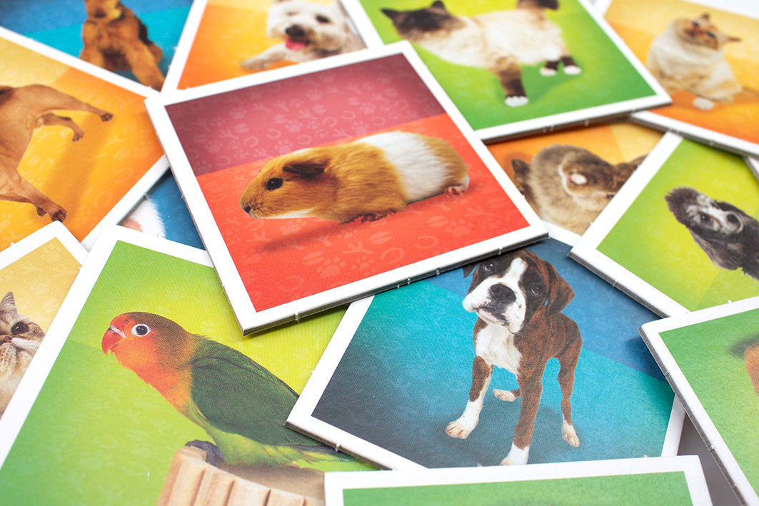 Tactic Board Game Pets Memo 41439T