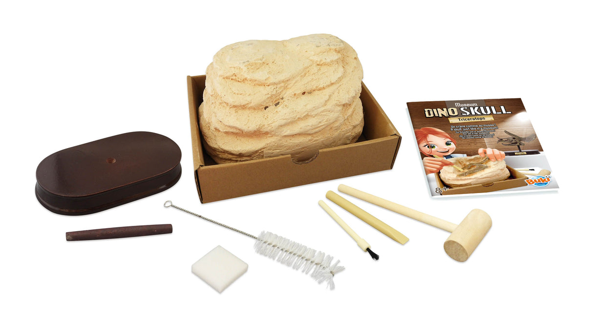 Buki Museum Skull Triceratops 2131I