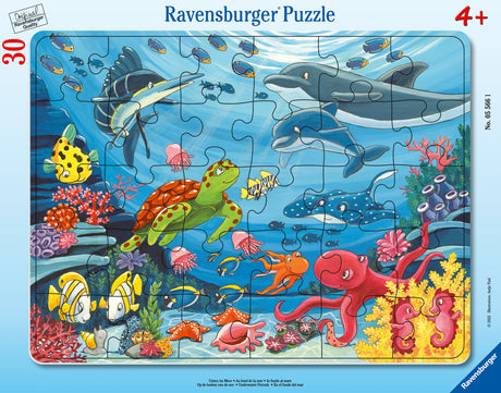 Ravensburger Frame Puzzle 30 pc Under Water 055661V