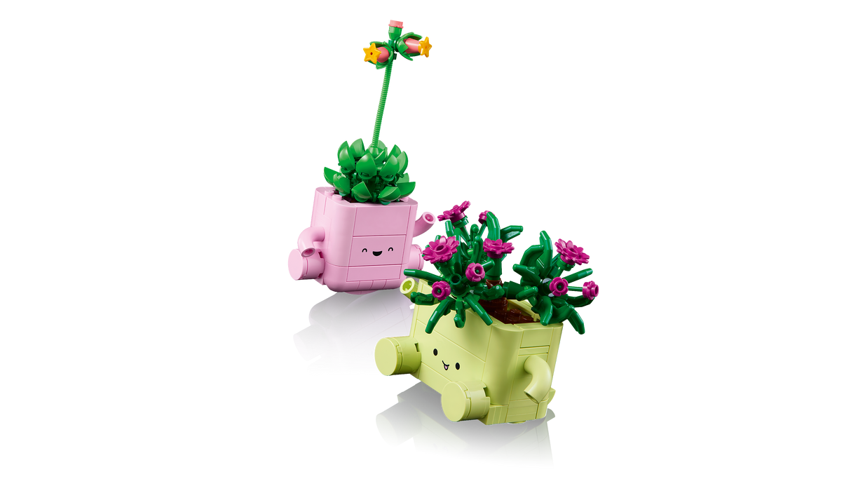 LEGO Botanicals Rocking Plants 11506L