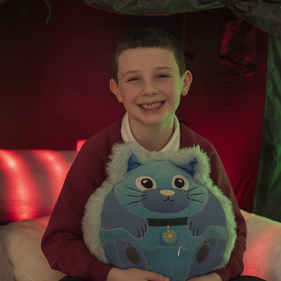 TTS Calming Cat Plush Toy SD10362B