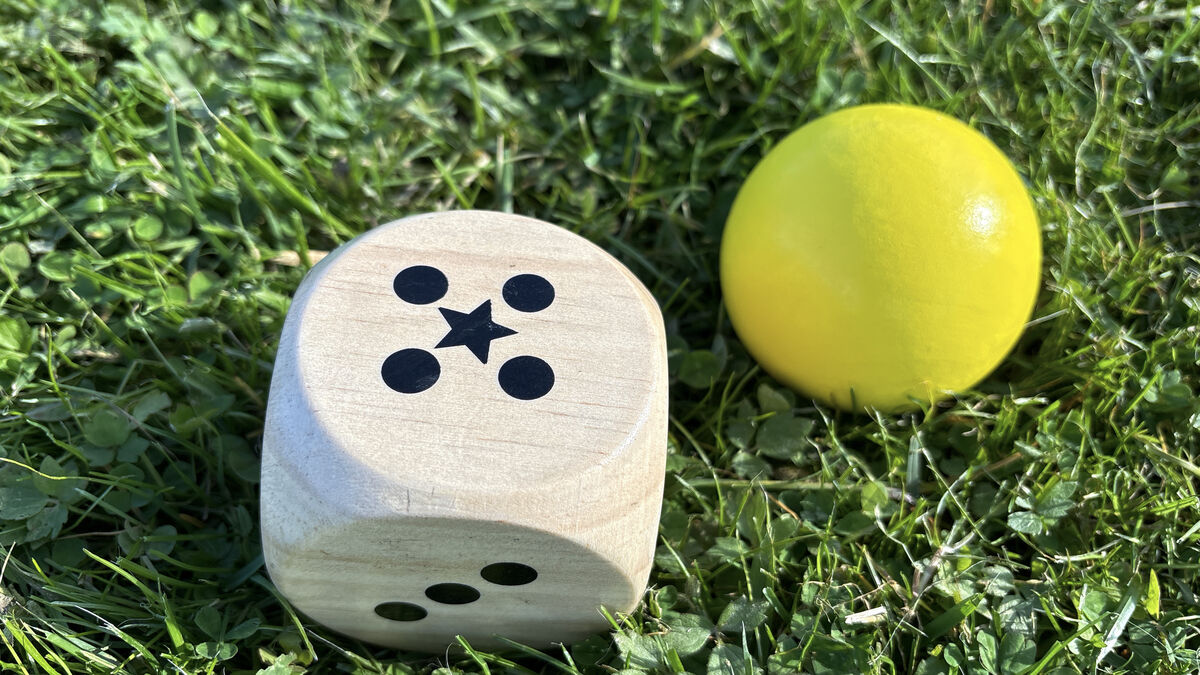 Bex 5Star outdoor game: Family 541-600