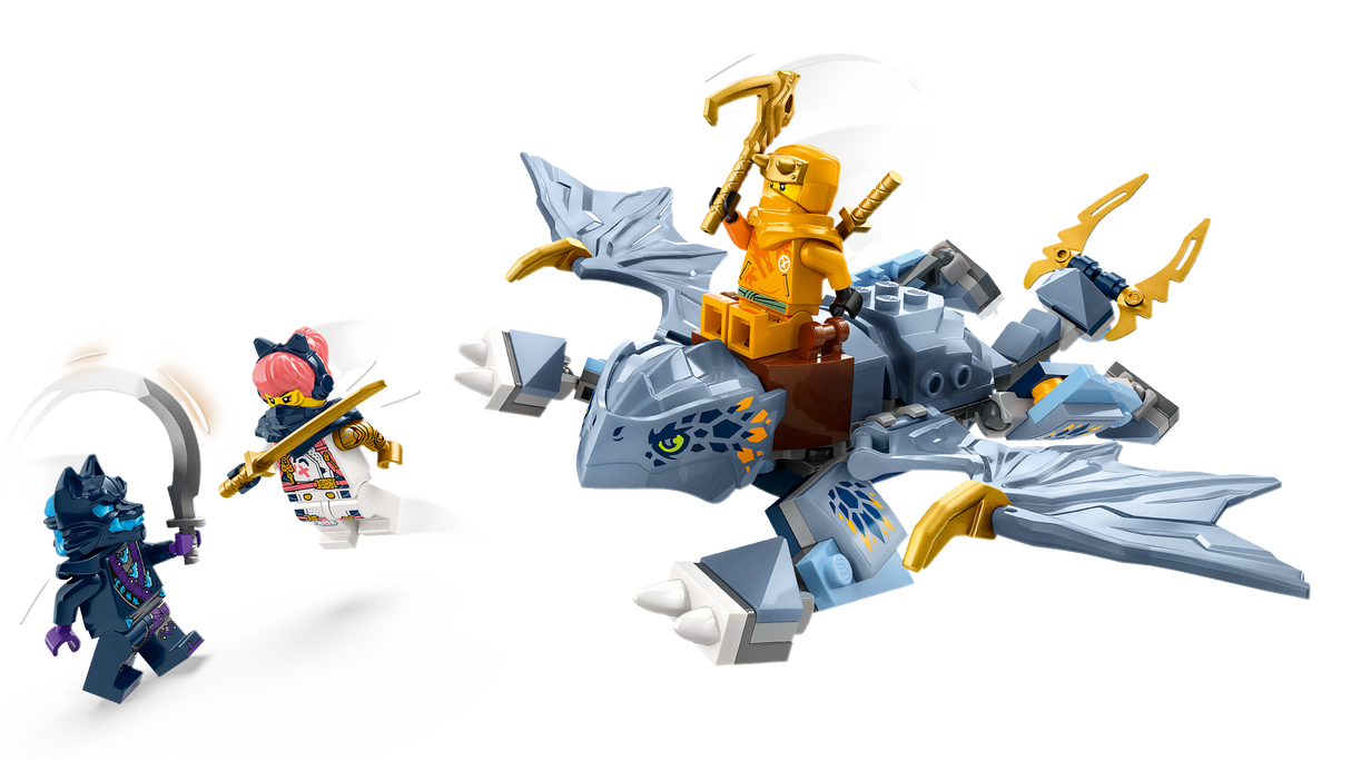 LEGO Ninjago Young Dragon Riyu 71810L