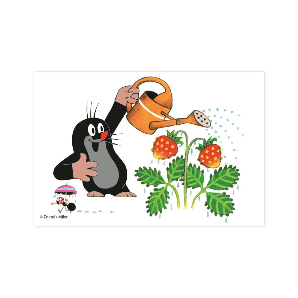 Dino Cube Puzzle 6 pc Little Mole 64314D