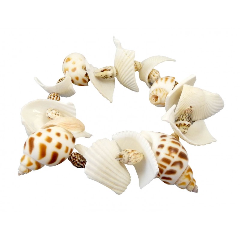 Buki Dig Kit Shells 441I