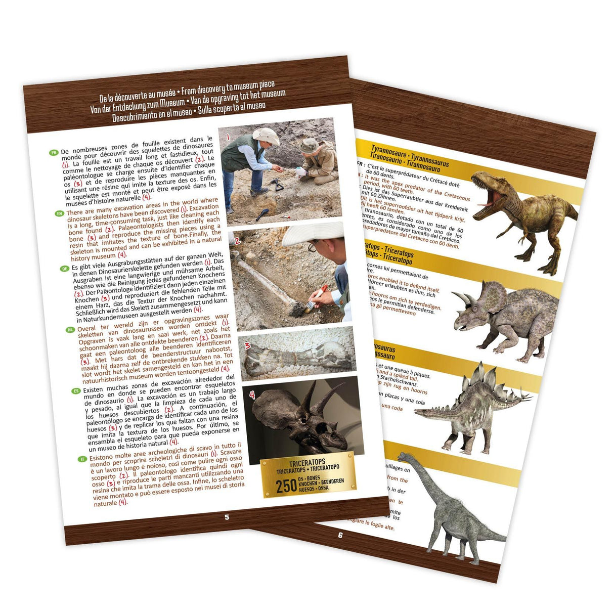 Buki Dinosaur skull - Tyrannosaurus 2130I