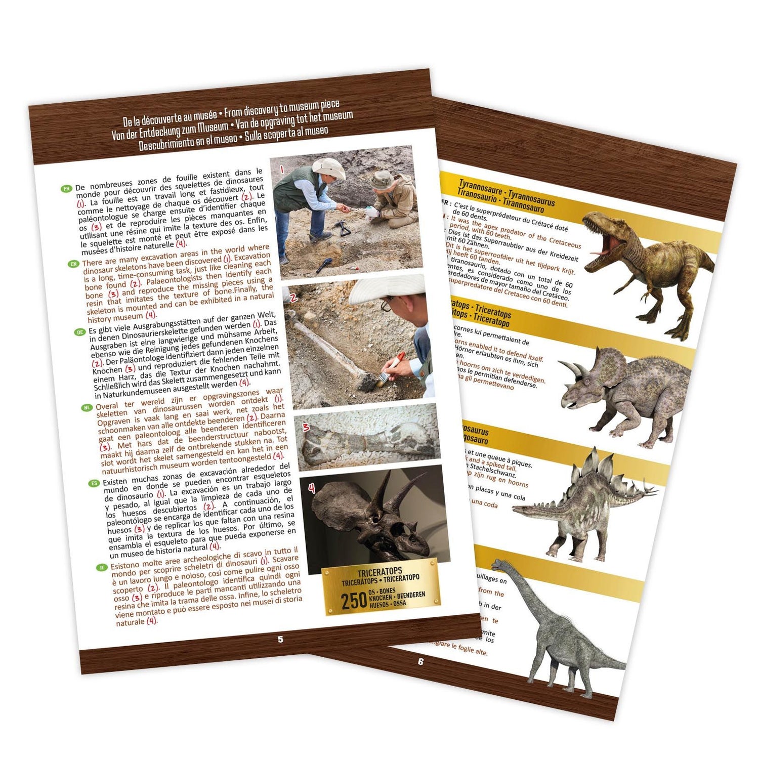 Buki Dinosaur skull - Tyrannosaurus 2130I