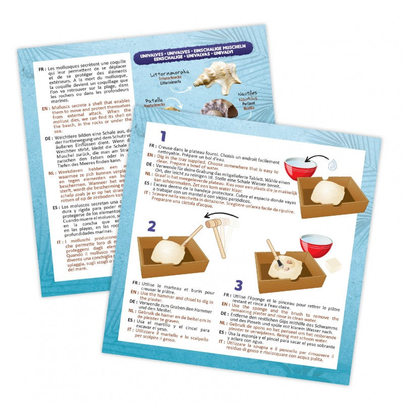 Buki Dig Kit Shells 441I