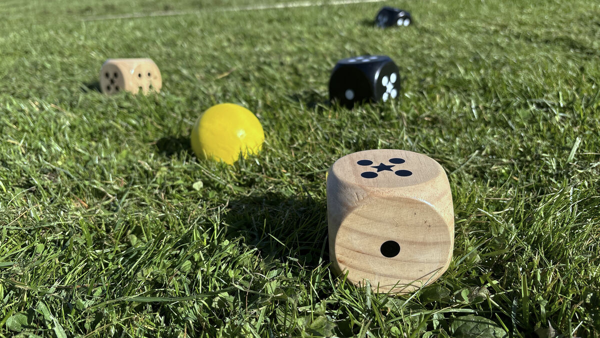 Bex 5Star outdoor game: Family 541-600