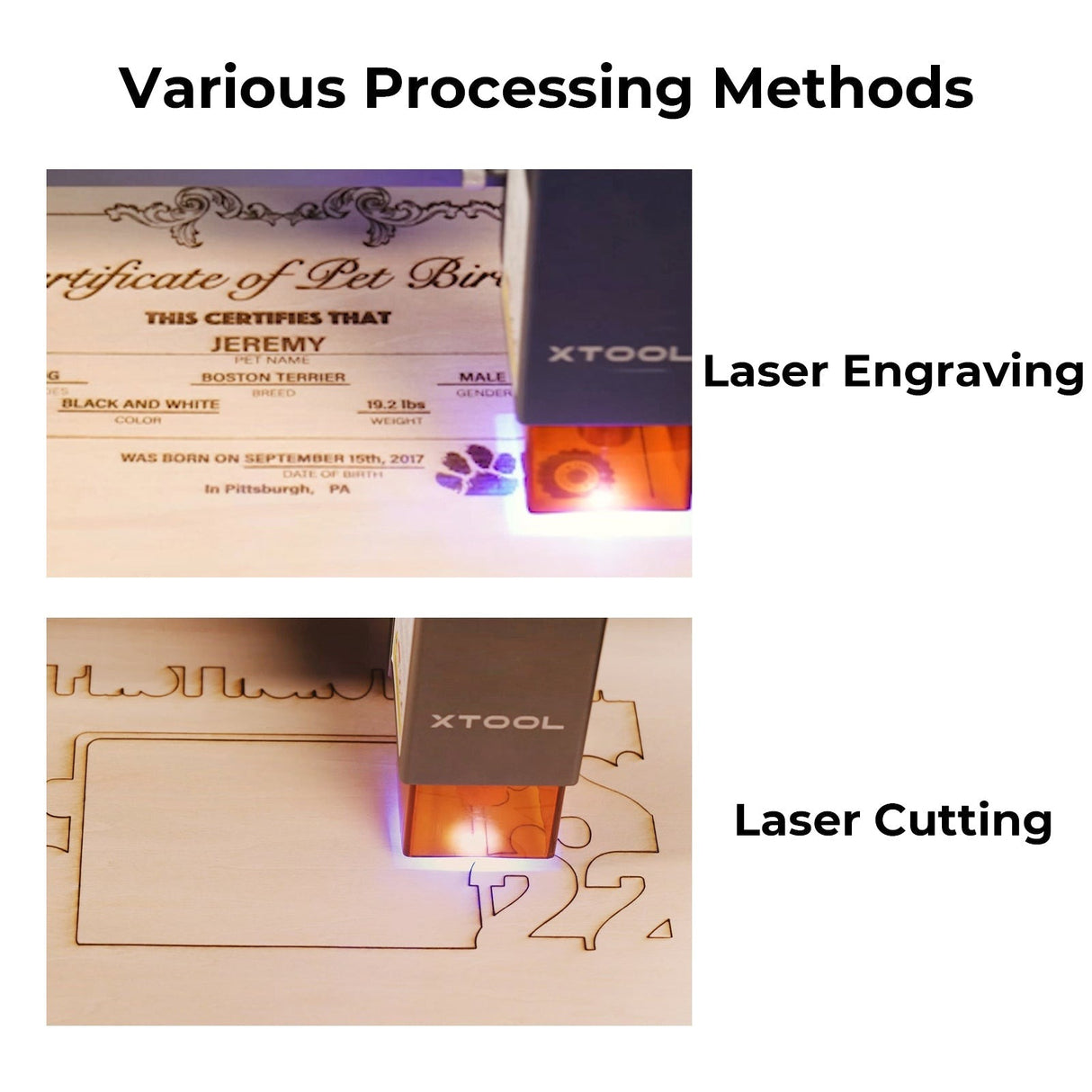 xTool Plywood: Walnut, 3mm 30*30cm, 6pcs P5020089