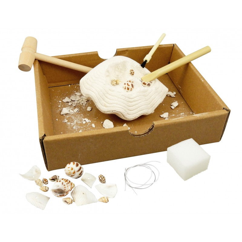 Buki Dig Kit Shells 441I