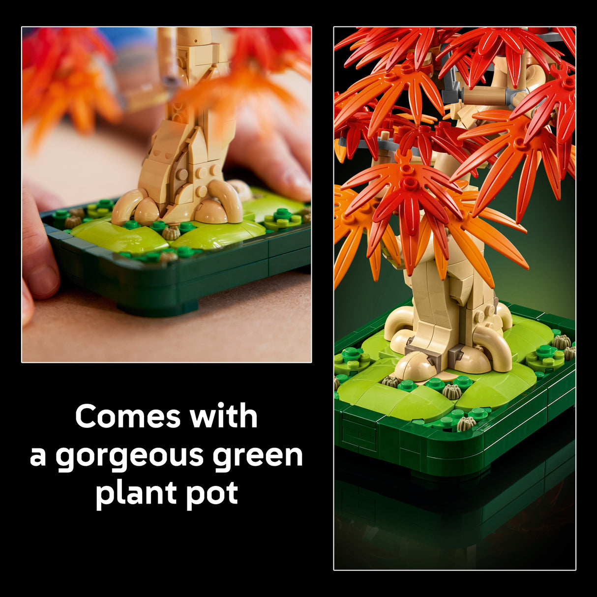 LEGO Botanicals Japanese Red Maple Bonsai Tree
 10348L