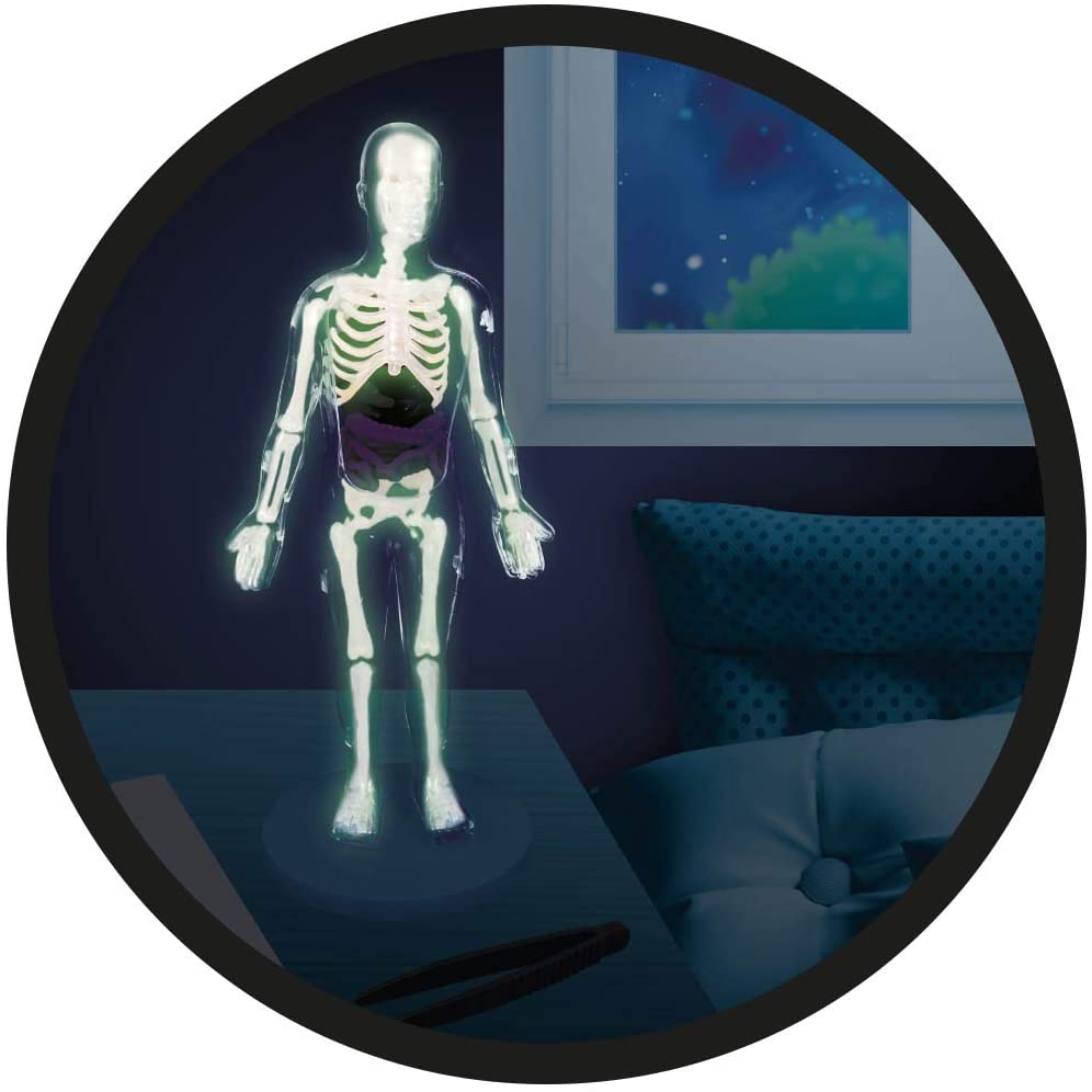 Buki Human Body 2163I