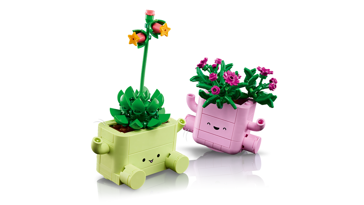 LEGO Botanicals Rocking Plants 11506L