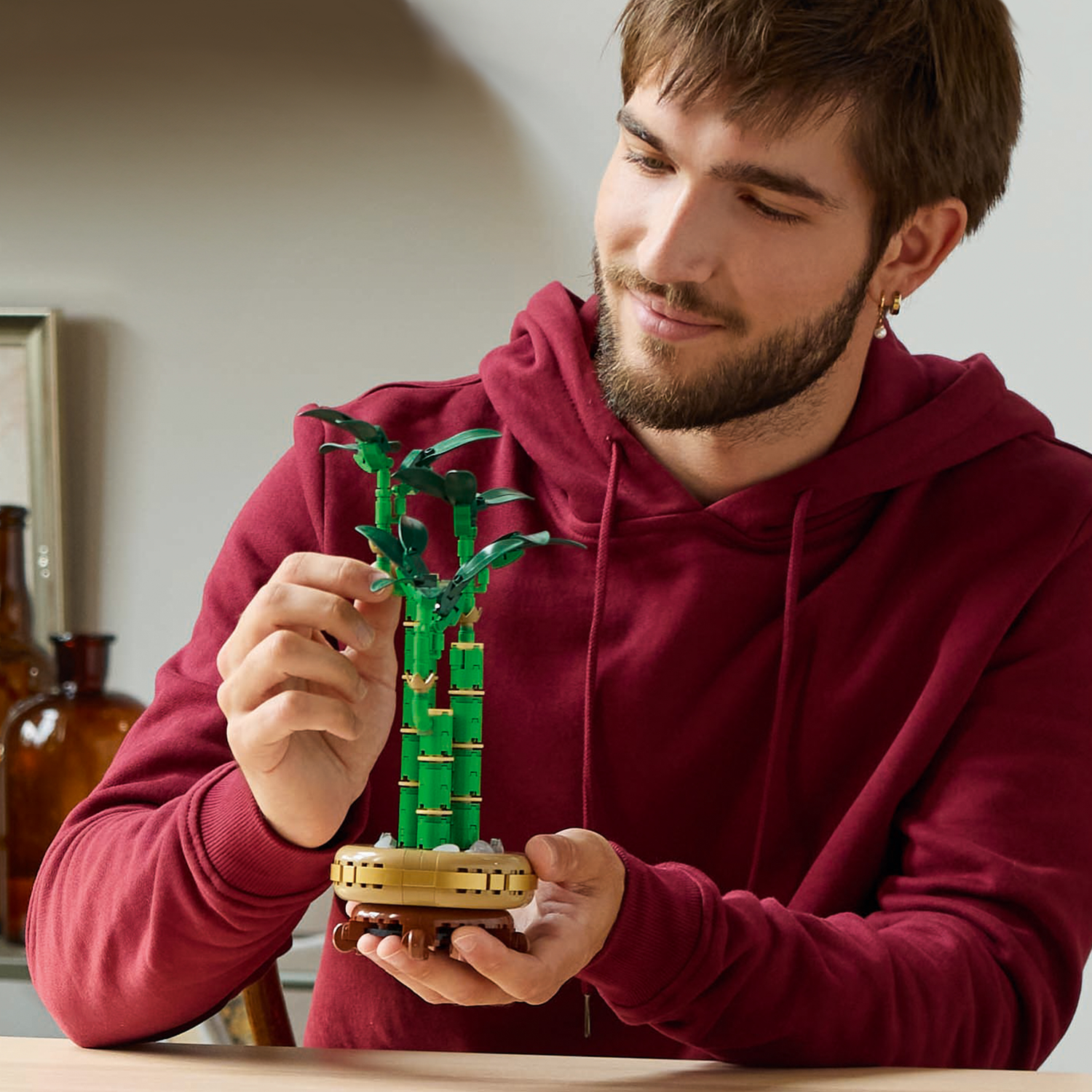 LEGO Botanicals Lucky Bamboo 10344L