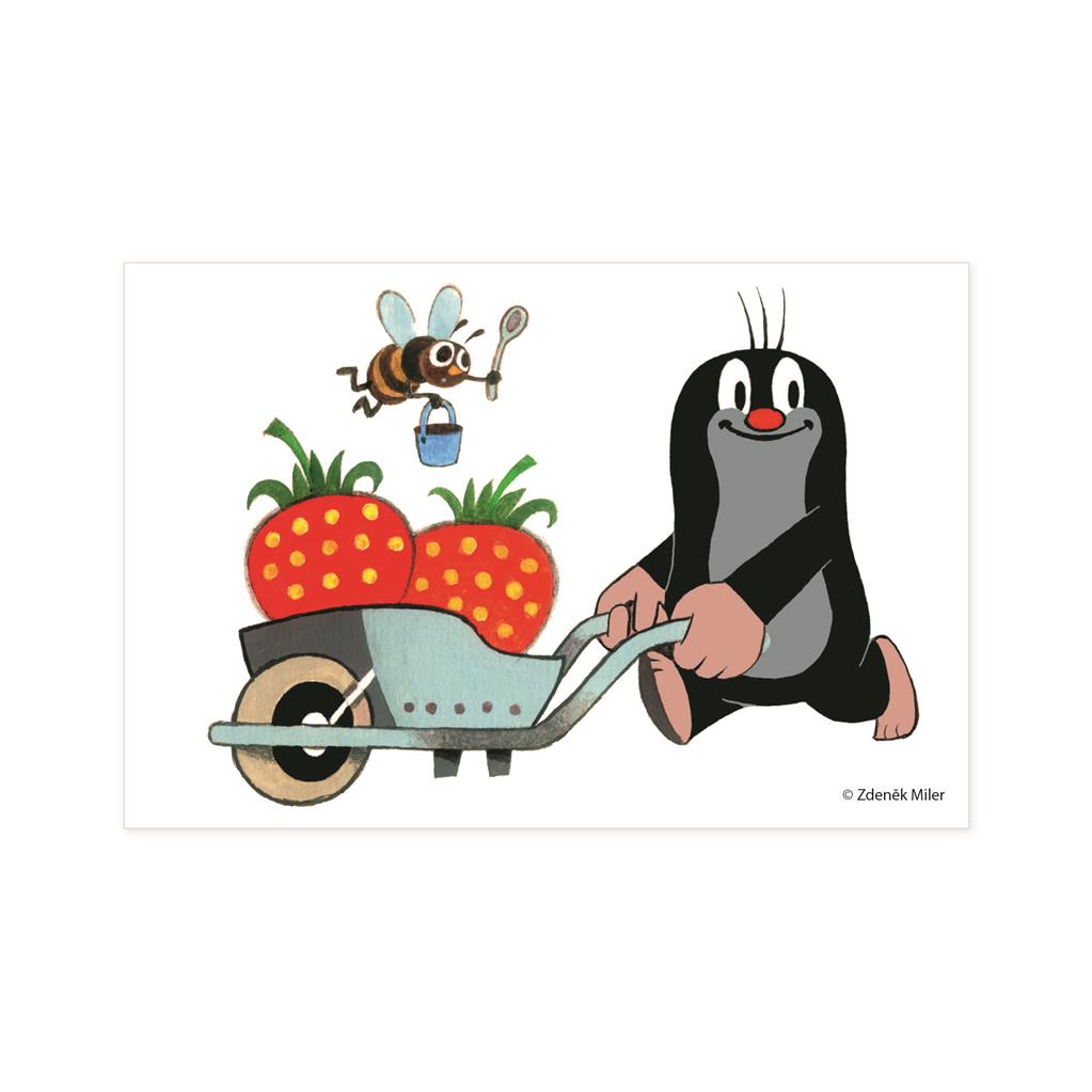 Dino Cube Puzzle 6 pc Little Mole 64314D