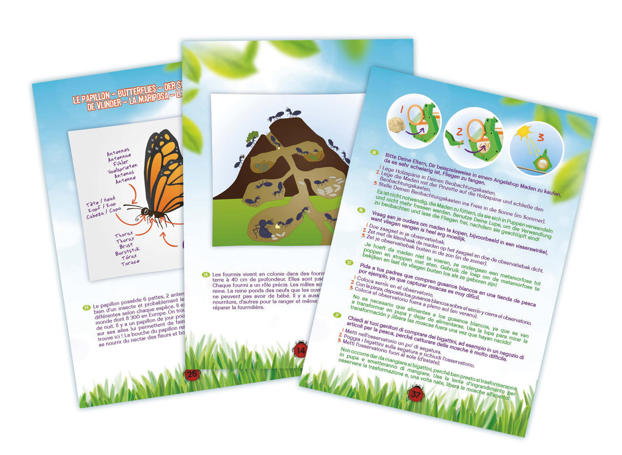 Buki Insect Explorer Kit BL033I