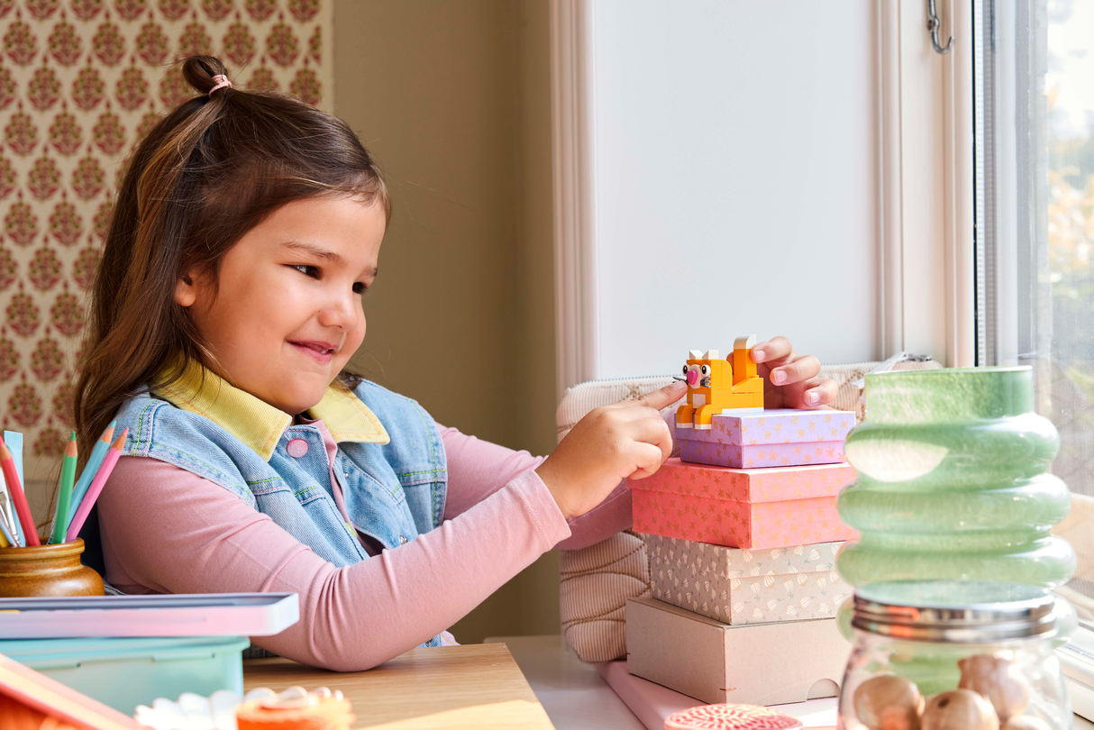 LEGO Classic Creative Happy Box 11042L