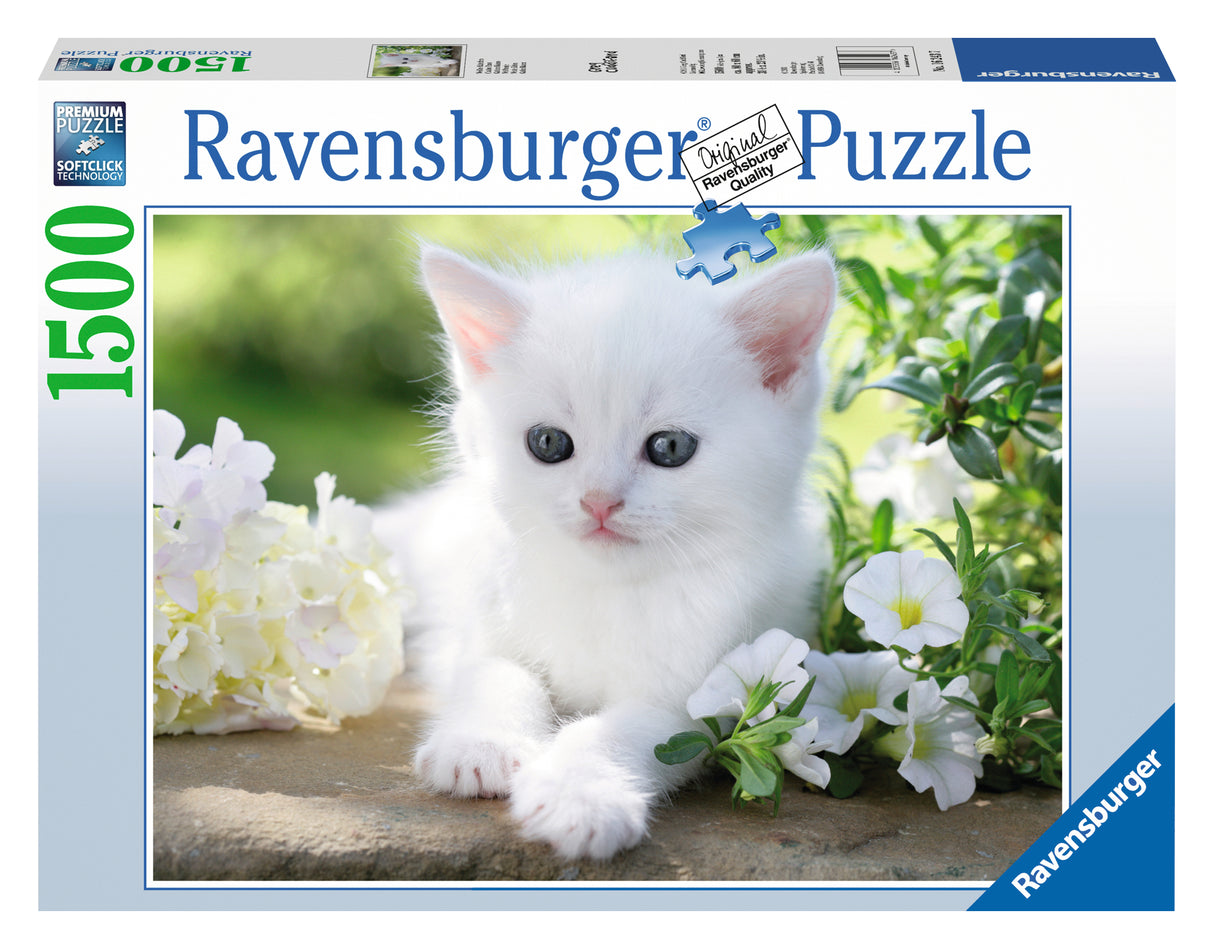 Ravensburger Puzzle 1500 pc White Kitten 12000706V