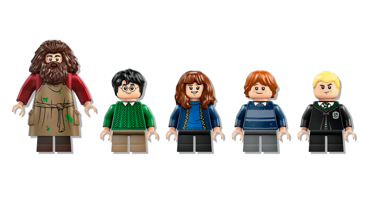 LEGO Harry Potter Hagrid's Hut: An Unexpected Visit 76428L