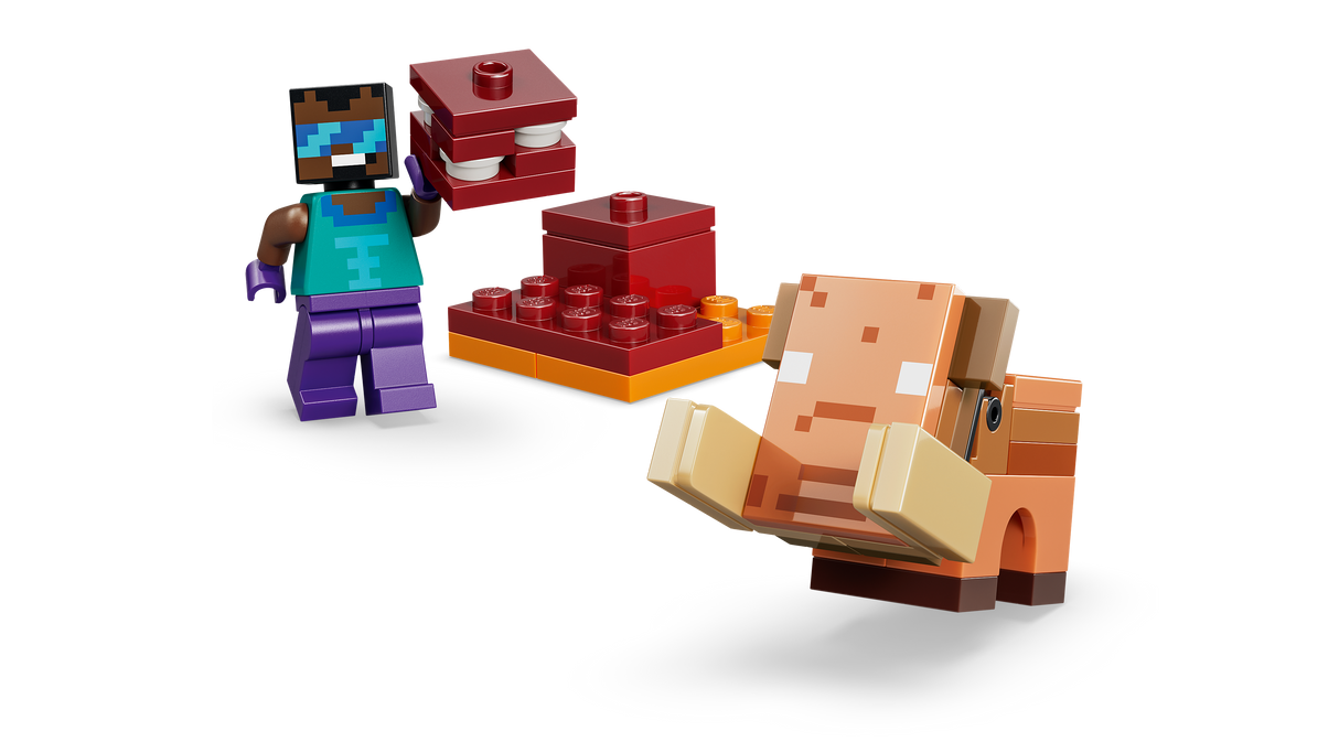 LEGO Minecraft Nether & End Portal Journey 21584L