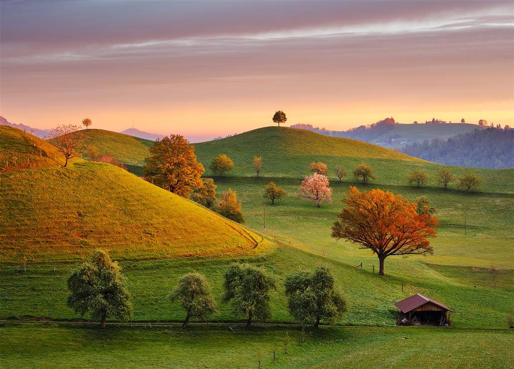 Dino Puzzle 3000 pc Fairytale Sunrise 56321D