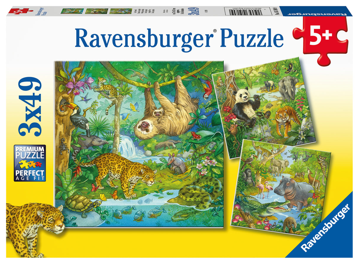 Ravensburger Puzzle 3x49 pc Jungle Fun 051809V
