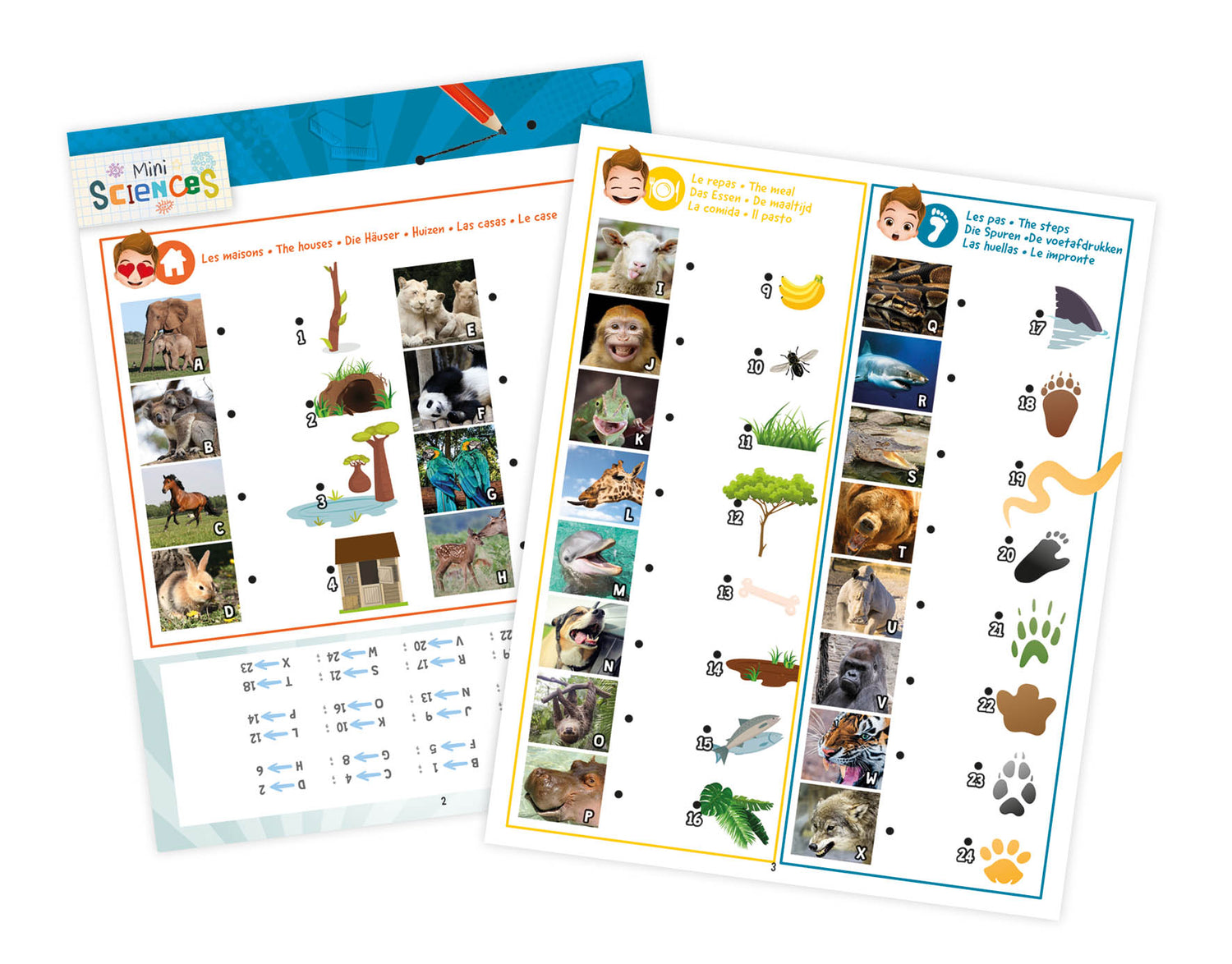 Buki 3-in-1 Lantern 9006I