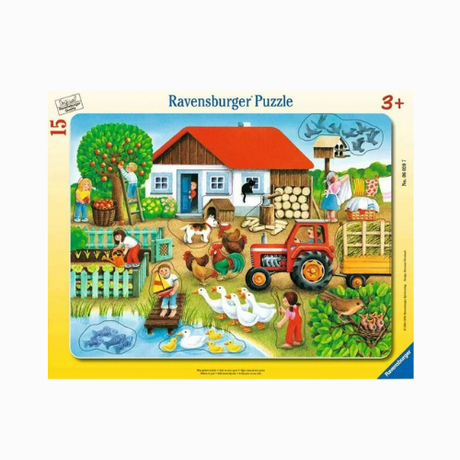 Frame Puzzles