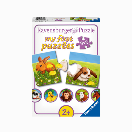 Childrens Puzzles in a Box