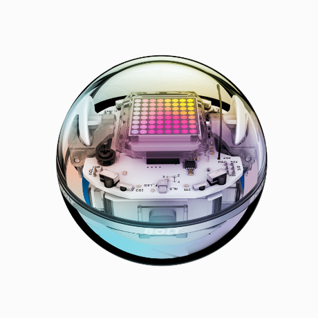 Programmable Robots