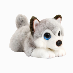 Dogs