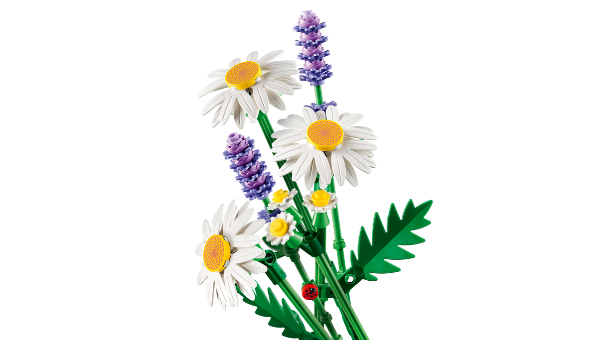 LEGO Botanicals Daisies 11508L