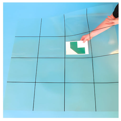 TTS Pro-Bot Clear Lined Mat ITS1TRANB